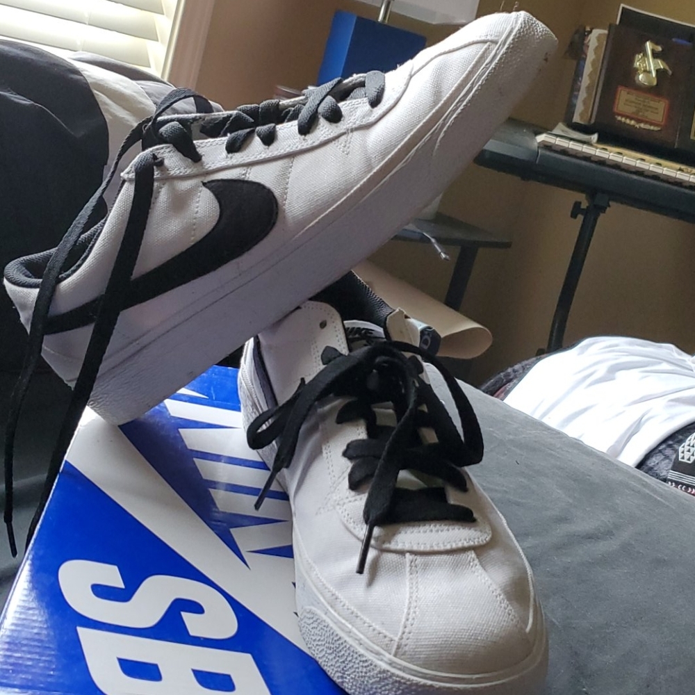 Size 10.5 Nike Zoom Bruin SBs